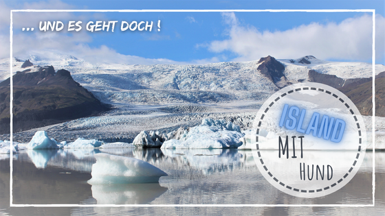 Island mit Hund - und es geht doch!