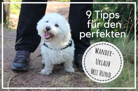 Urlaub mit Hund, Wanderurlaub mit Hund, Wanderferien mit Hund