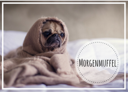 Hund als Morgenmuffel