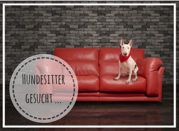 Hundesitter gesucht! Urlaub ohne Hund