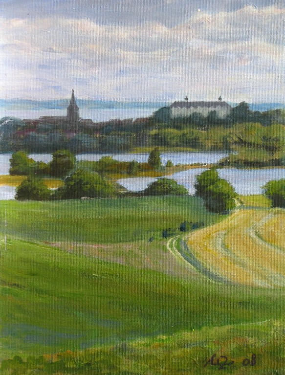 Sommerblick auf Plön