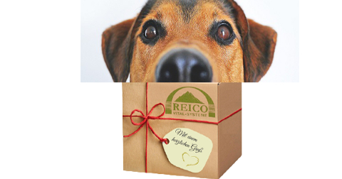 Lieferverzögerungen bei REICO - Shop-Wartung bei REICO - Produkthandbücher für REICO Neukunden