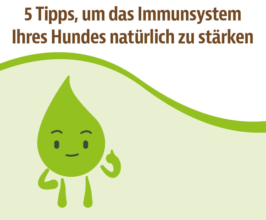 Colostrum - Natürliche Stärkung des Immunsystems beim Hund