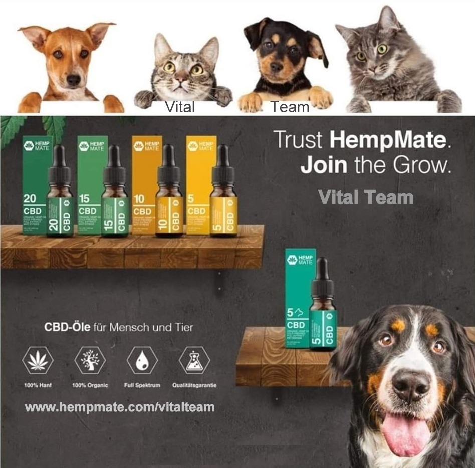 CBD Öle & Dragées für Hunde