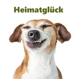 Glücklicher Hund – natürliches Nassfutter Heimatglück von REICO