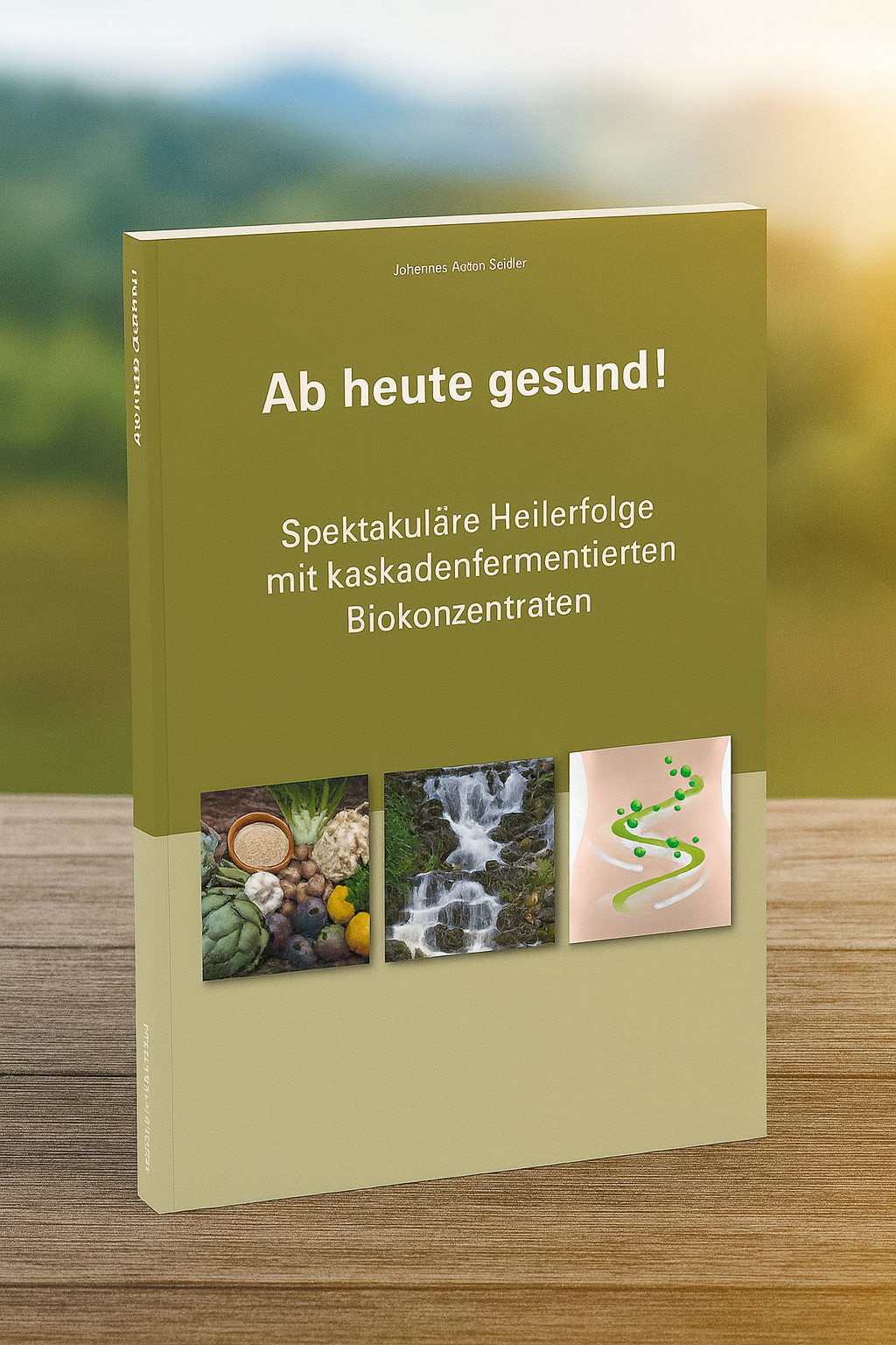 Reico Buch Ab heute gesund Geschenk