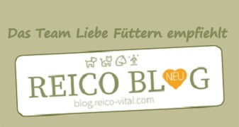 Blog Reico Vital