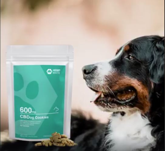 CBD Dog Cookies - CBD Hundekekse HempMate Partner VITAL TEAM