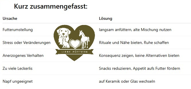 Hund verweigert Futter - Ursache & Lösungen.