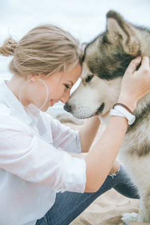 Werden Sie REICO Vertriebspartner – Erweiterung Ihres Angebots für gesunde und glückliche Tiere