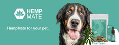 HempMate CBD für Hunde: Ein umfassender Leitfaden für Haustierbesitzer
