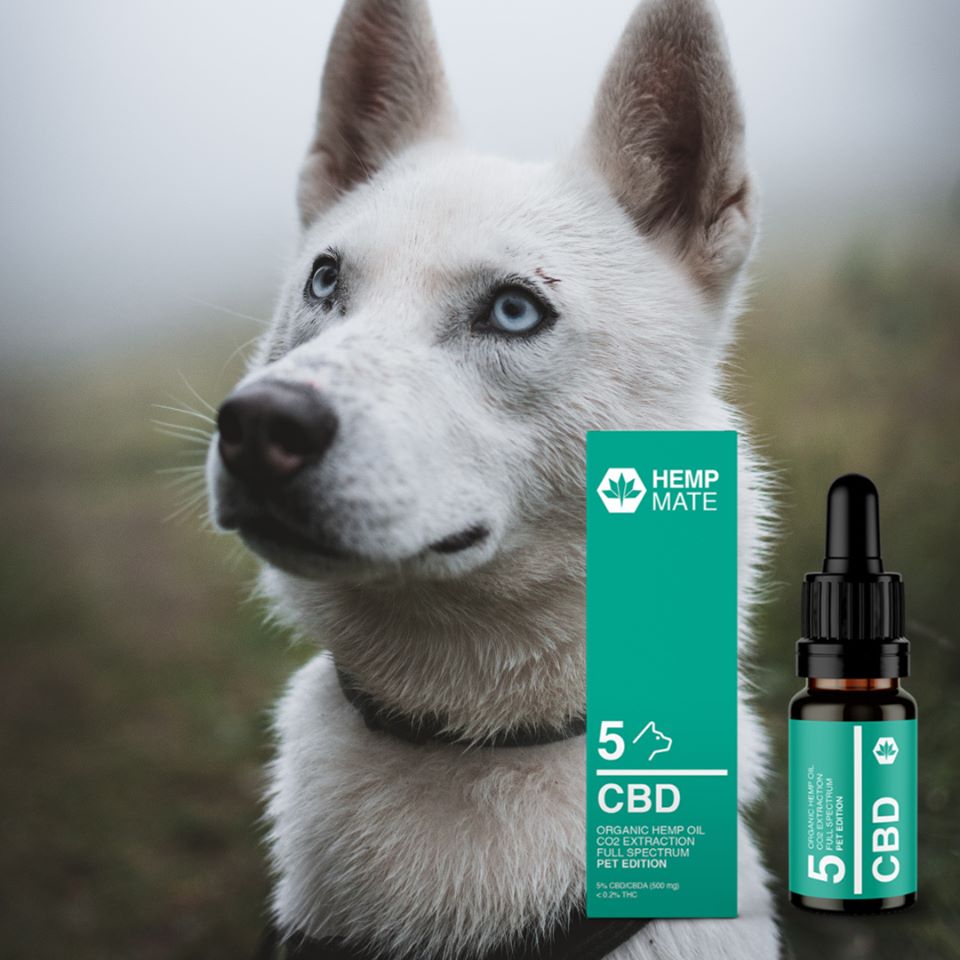 CBD Öle für Hunden