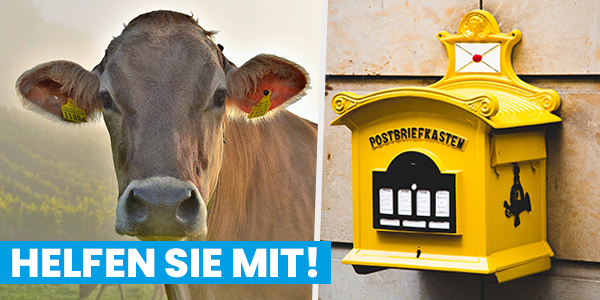 Neues Tierschutzgesetz enttäuscht – so kannst du aktiv werden!