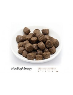 MaxiDog Energy Trockenfutter für Hunde von Reico