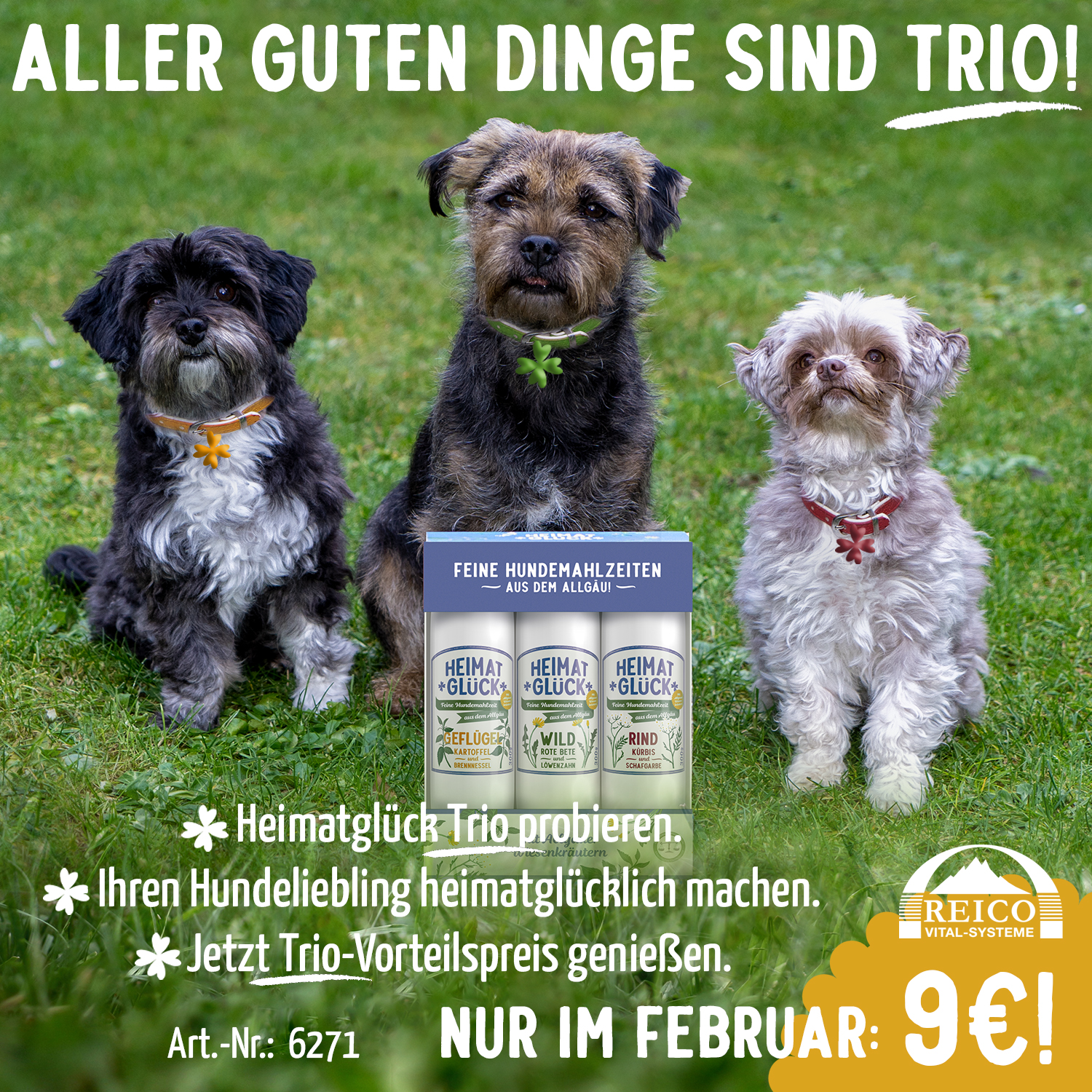 HEIMATGLÜCK TRIO, JETZT ZUM PROBIERPREIS!