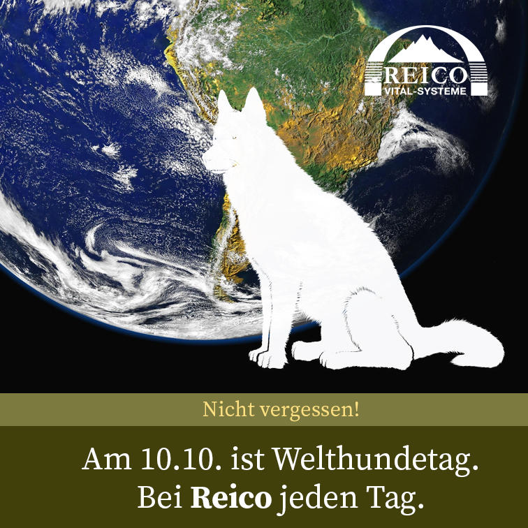 10.10. ist Welthundetag - Bei Reico jeden Tag!