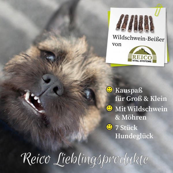 Wildschwein-Beißer der Kauspass für große und kleine Hunde. Mit Wildschwein und Möhren. 