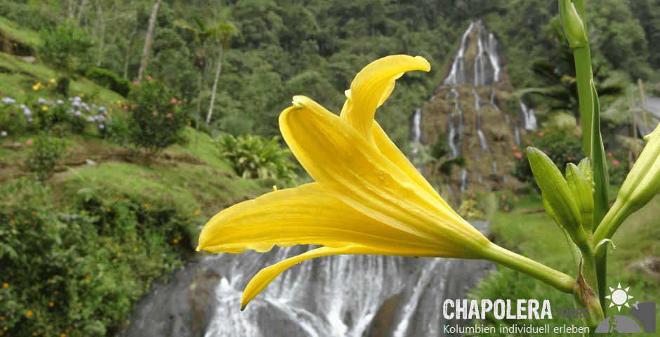 Tagestour Termales Santa Rosa de Cabal (Foto: Wasserfall im Thermalbad Santa Rosa)