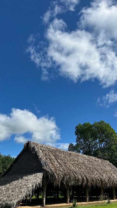 Auf seiner authentischen Finca erhalten wir u.a. Einblick ...