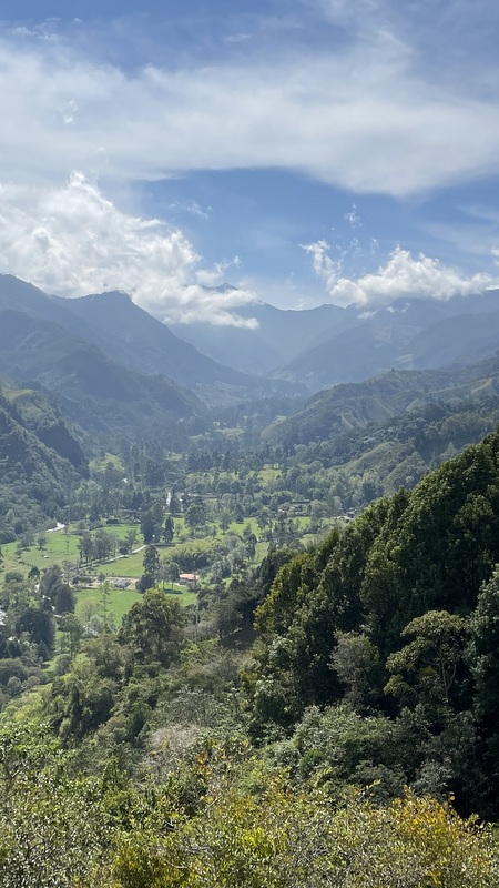Blick vom Mirador Salento ins Valle de Cocora und dem schneebedeckten Nevado del Tolima am Horizont