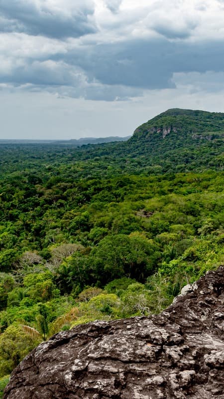 Panoramablick über den scheinbar endlosen Amazonas-Regenwald und den angrenzenden Chiribiquete Nationalpark