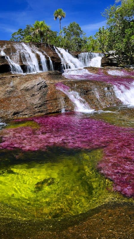 Unterwegs am Caño Cristales - Abschnitt Los Pianos 