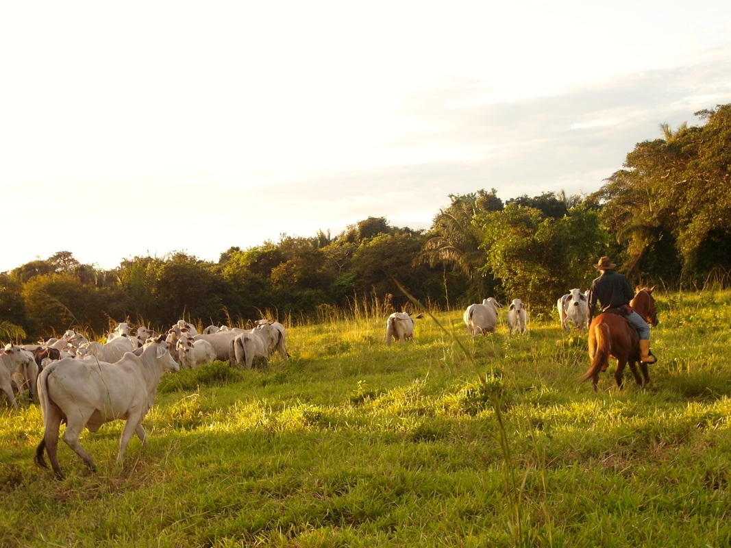 Tag 1 - Reiten