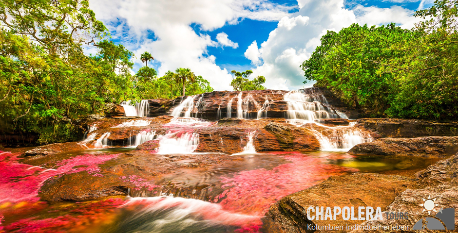 Reisebaustein 4 Tage Cano Cristales Kolumbien 