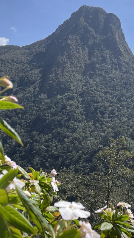 Cerro Morrogacho im Valle de Cocora