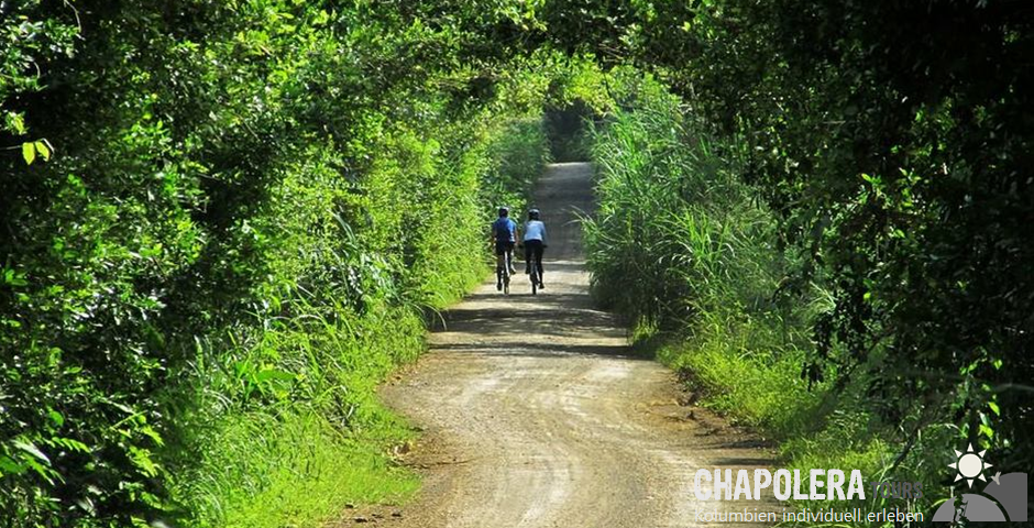 Biketour/ Fahrradtour und Fahrt mit der Brujita in der Kaffeezone 