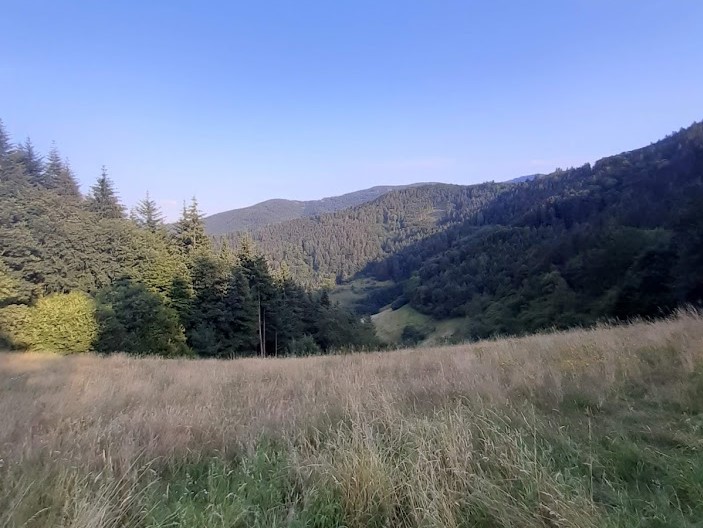 Blick vom Sohlacker 