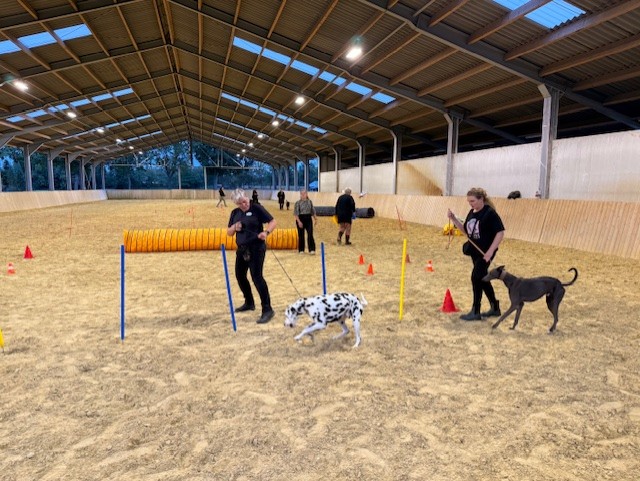 Cursisten in volle actie