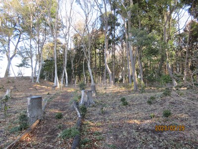 活動地の朝ですが、なんとなく真冬の状態から変化しています