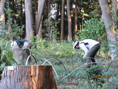 中腰の作業ですので大変です