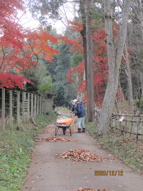 紅葉の下で道路清掃です