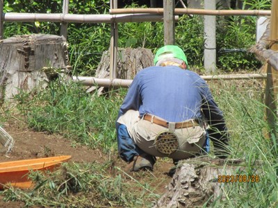 草取りは結構きつい作業です