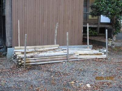 切り出した竹をサイズを揃えて切って、並べます