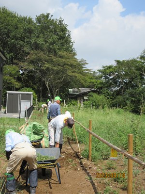 草取り作業は順調に進みます