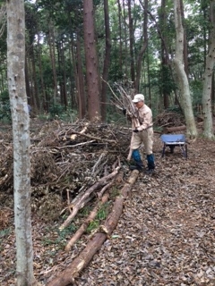 枯れ枝が大量にでました