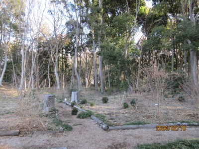 活動地の朝です