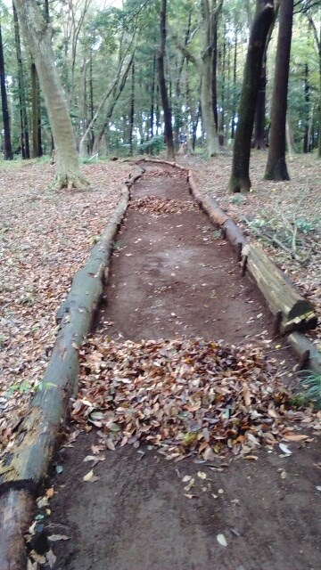 通路の枯葉を集めて、集積場に運びます