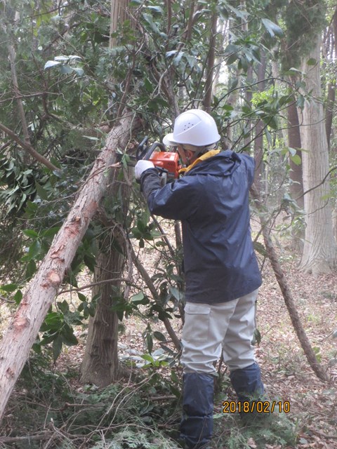 倒した木が他の木に乗っかってしました