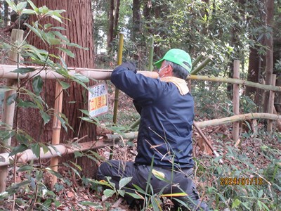 竹柵の補修作業開始です