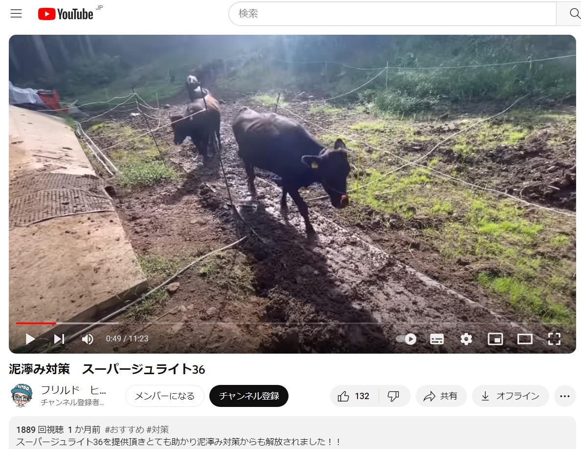 牛ちゃんの泥濘対策
