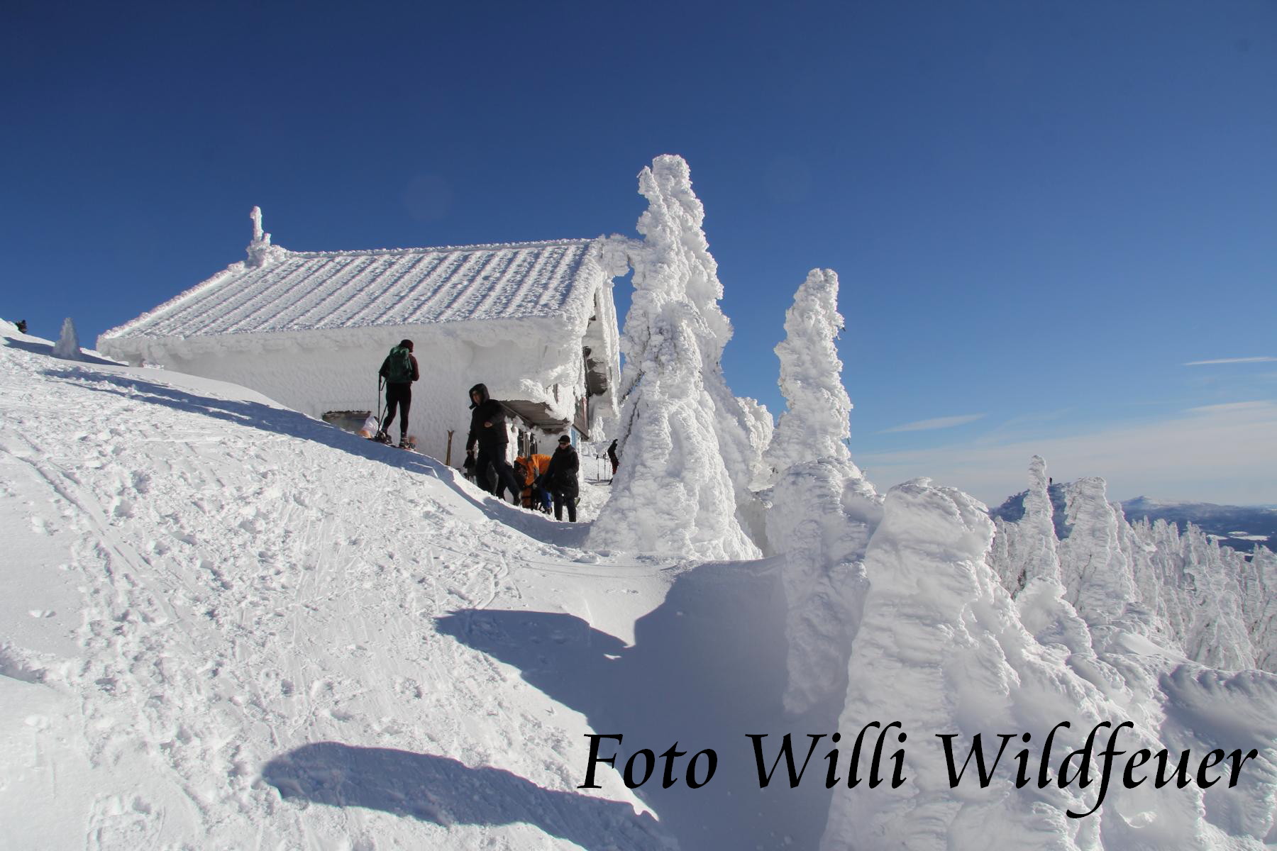 Zwiesler Hütte
