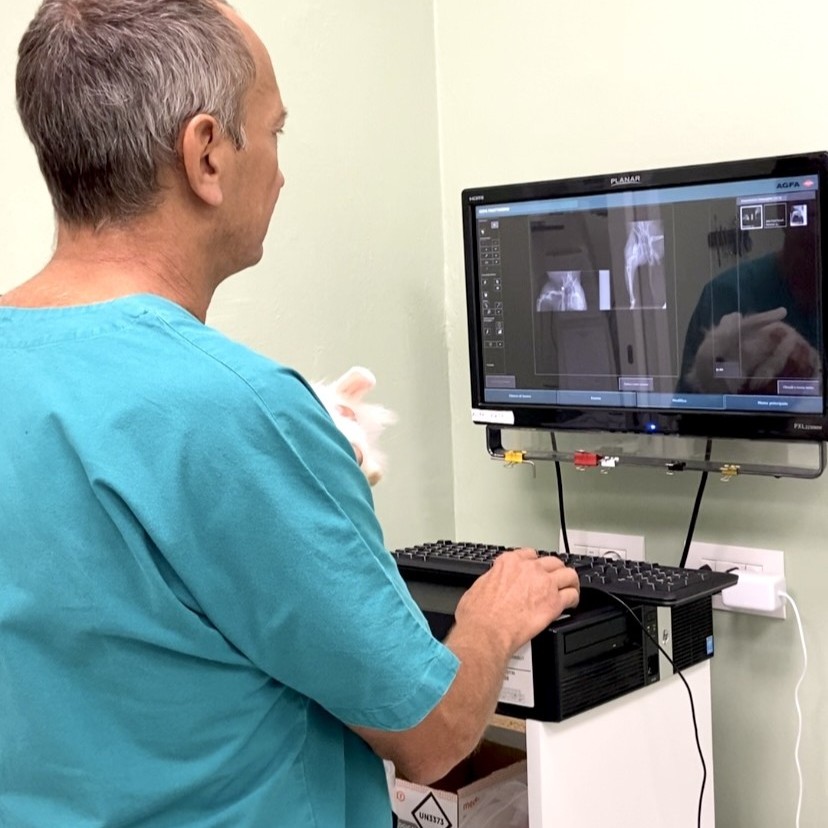 radiografia veterinaria milano