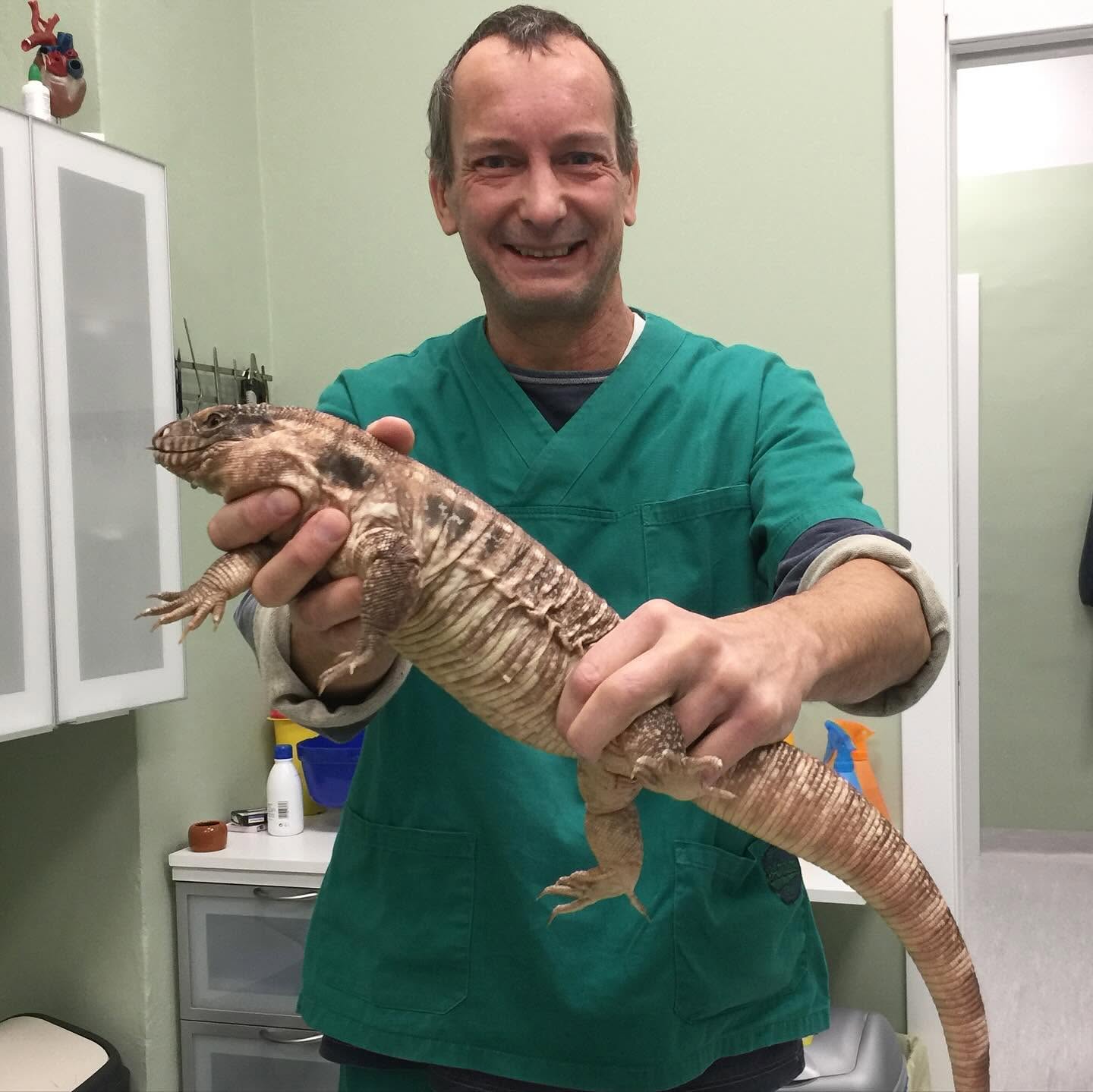 veterinario rettili milano