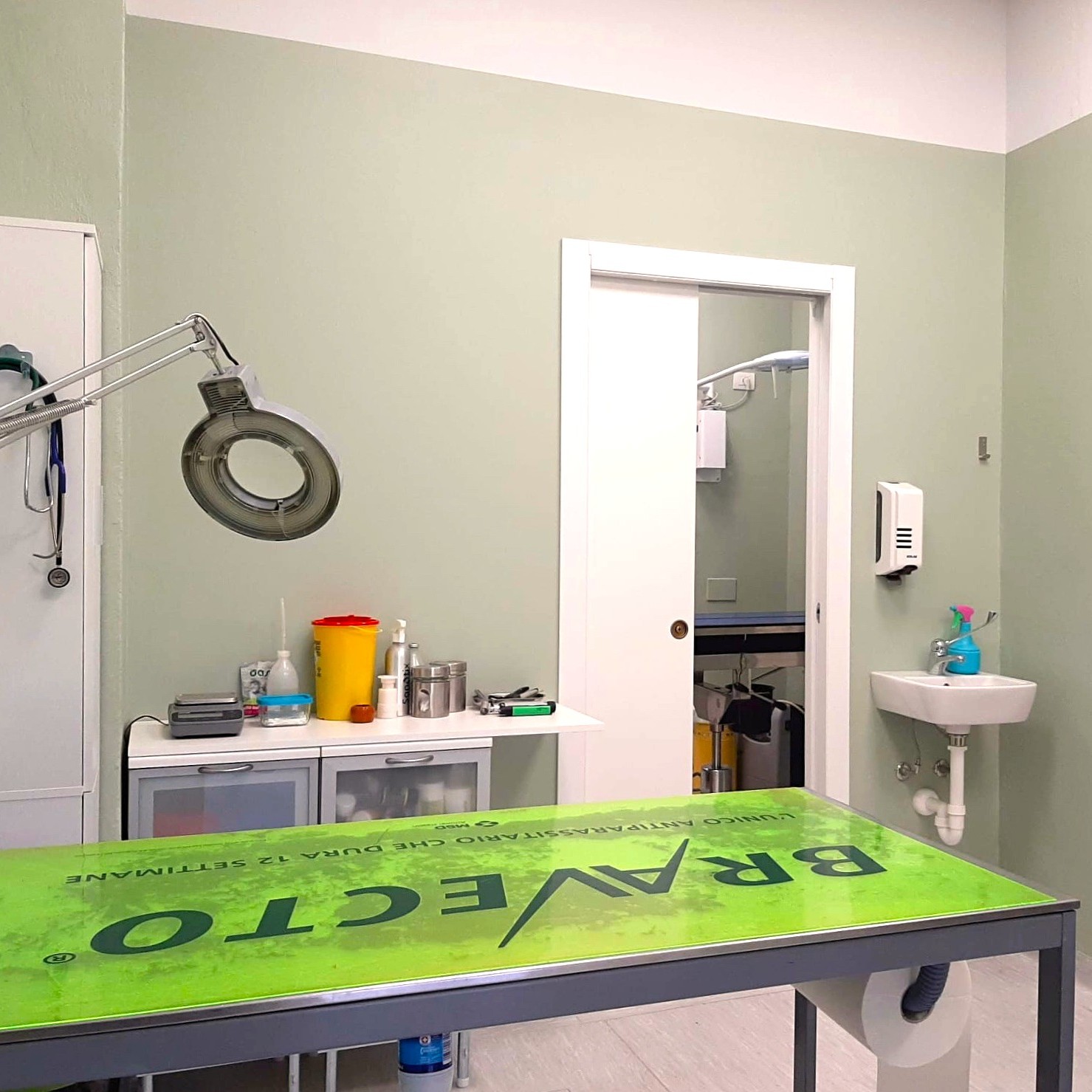 ambulatorio veterinario santa rita milano