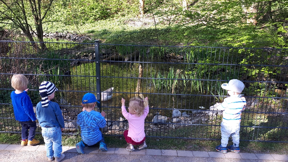 Ein Ausflug in den Zoo☀️🐑🦒🐹🦆