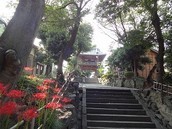 石段の先に越境寺がある